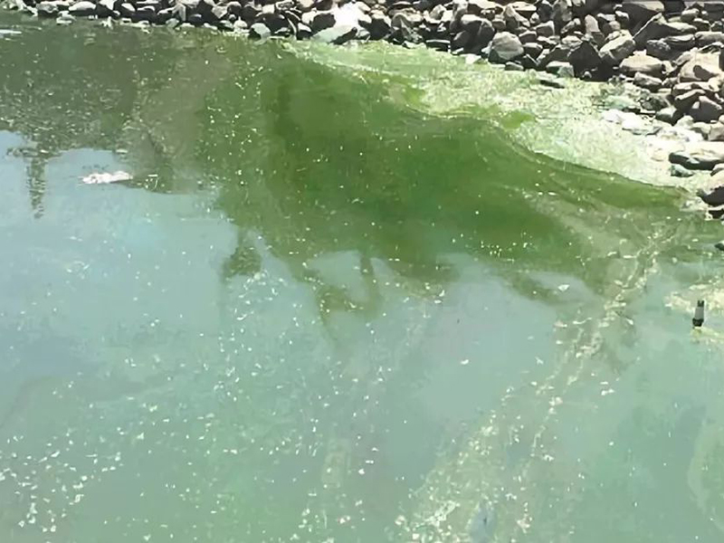 生物毒性檢測儀可以檢測什么 生物毒性檢測儀可以檢測什么