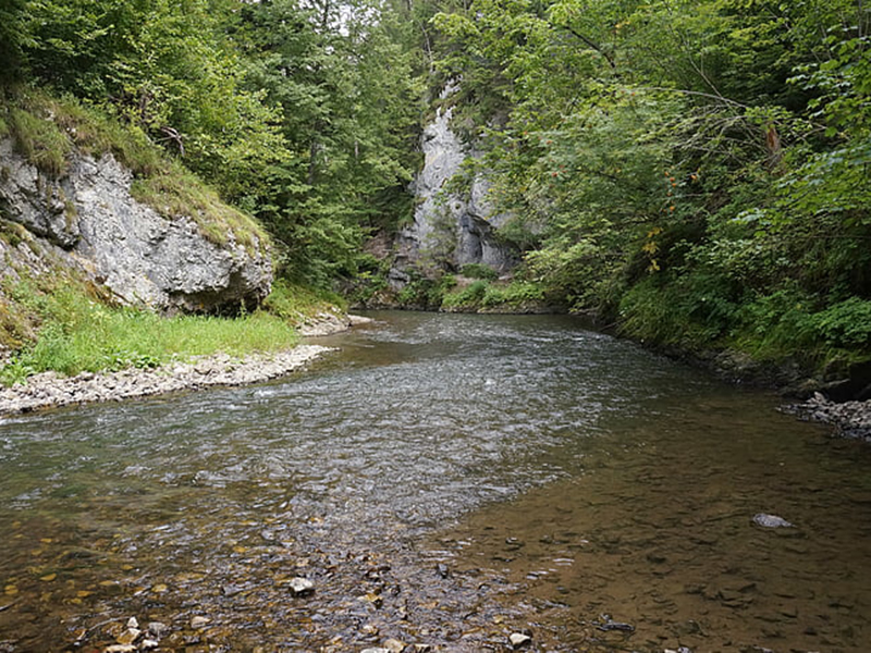 手持河流水質(zhì)監(jiān)測設(shè)備可以檢測哪些指標(biāo)