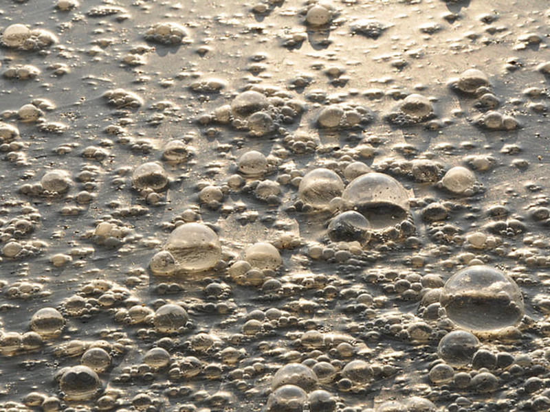 哪款設備可以精準檢測水中的氨氮含量 哪款設備可以精準檢測水中的氨氮含量