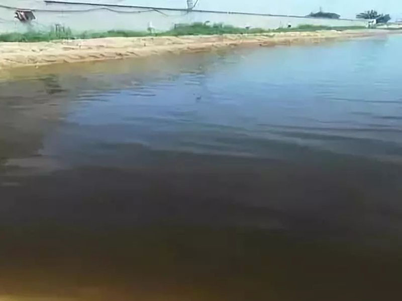 生物毒性檢測儀用于神經(jīng)毒劑的毒性檢測