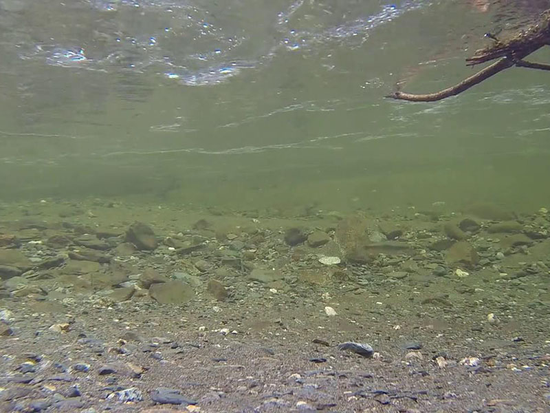 水產(chǎn)養(yǎng)殖檢測(cè)儀輔助水產(chǎn)養(yǎng)殖業(yè)發(fā)展