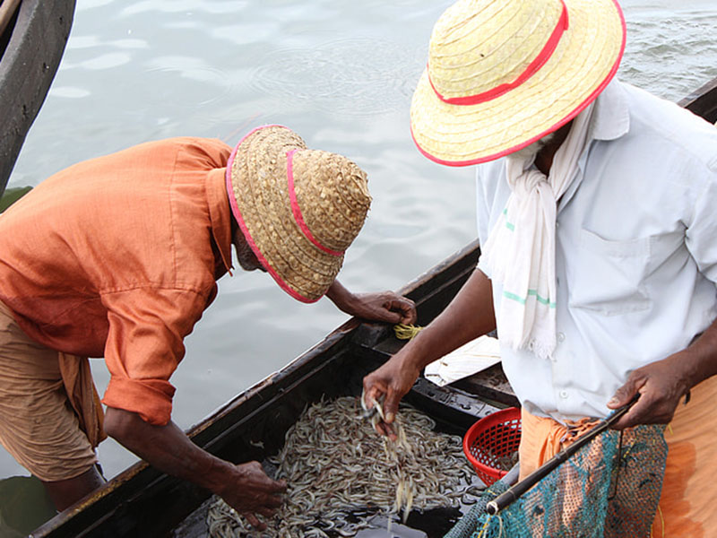 在水產(chǎn)養(yǎng)殖過程中要注意水質(zhì)的哪些指標(biāo)
