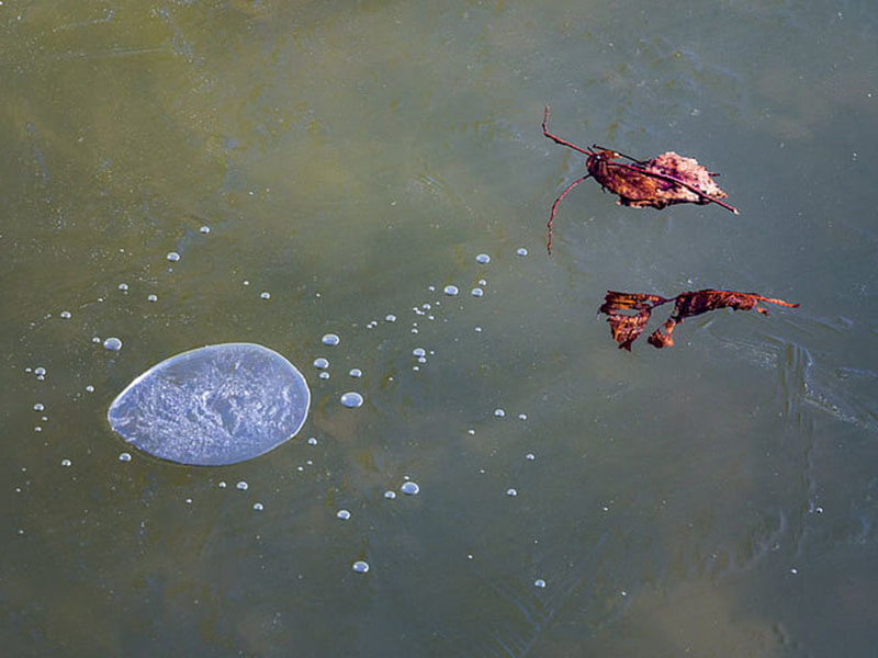 冬季要怎樣進(jìn)行水產(chǎn)養(yǎng)殖管理 冬季要怎樣進(jìn)行水產(chǎn)養(yǎng)殖管理