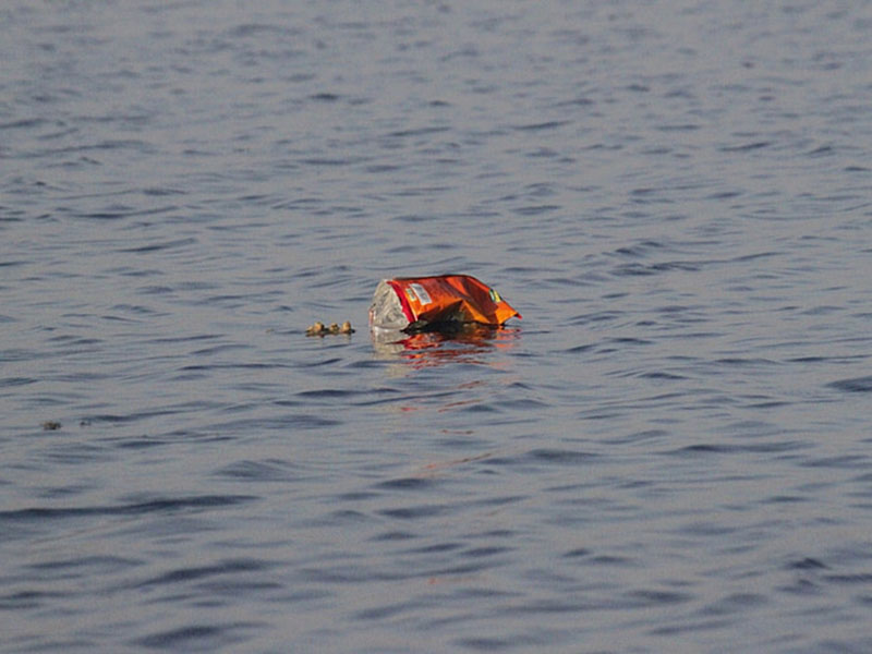 生物毒性檢測儀助力發(fā)展綠色水產(chǎn)品 生物毒性檢測儀助力發(fā)展綠色水產(chǎn)品