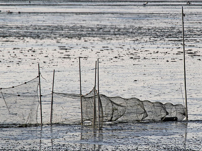 在水產(chǎn)養(yǎng)殖中要注意檢測水質(zhì)的哪些指標(biāo)
