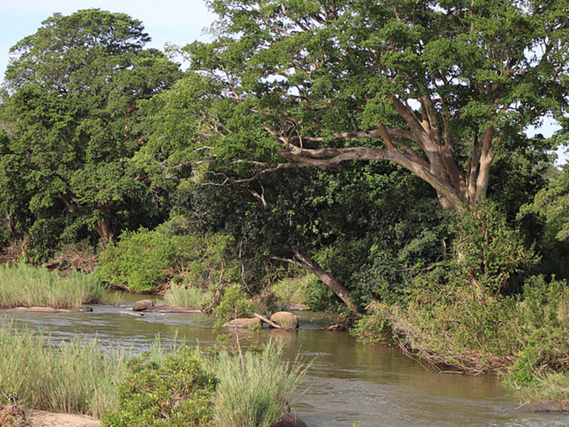水質(zhì)急性毒性檢測儀好用嗎