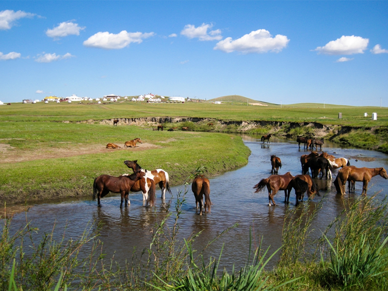 水質(zhì) 水質(zhì)