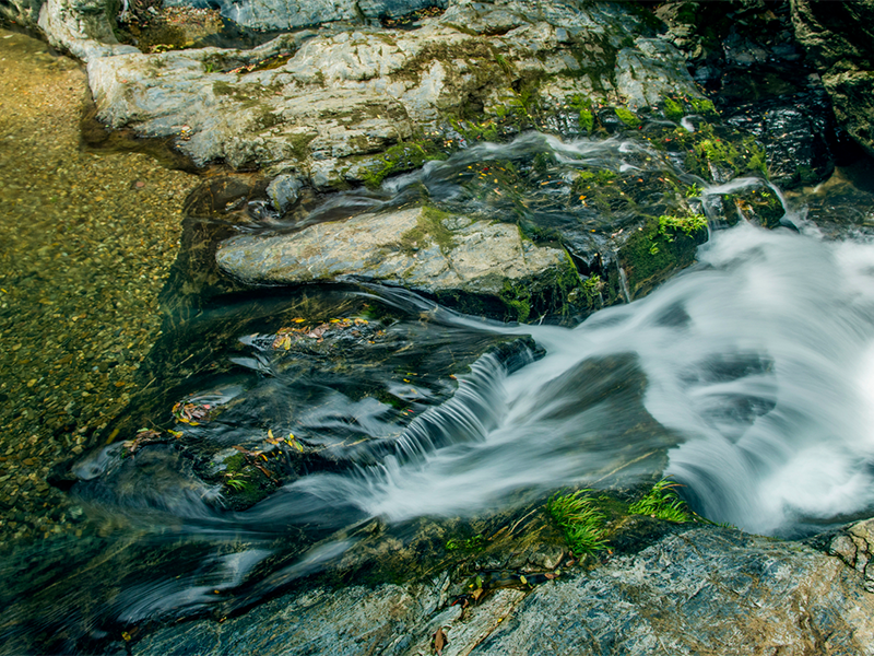 COD檢測(cè)儀 COD檢測(cè)儀