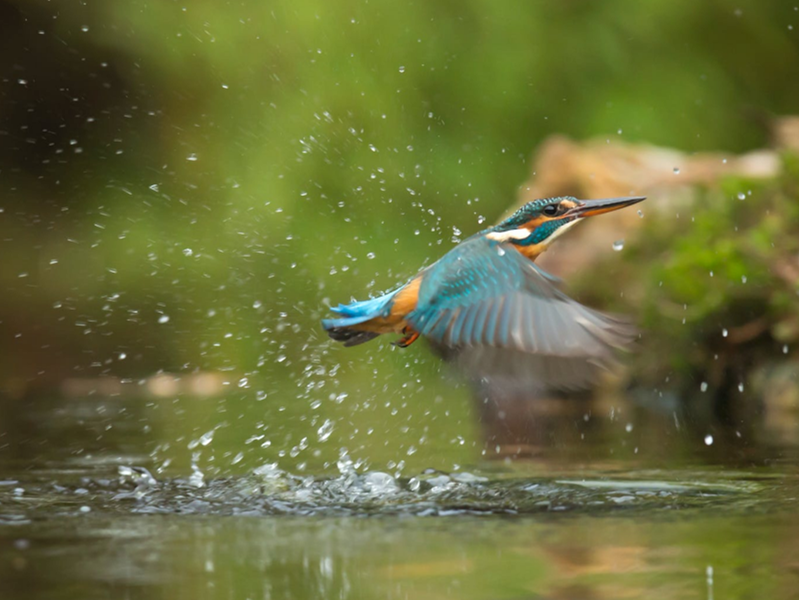 水質(zhì)檢測(cè)儀