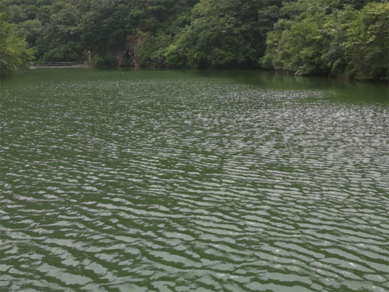 總氮 氨氮 總氮 氨氮