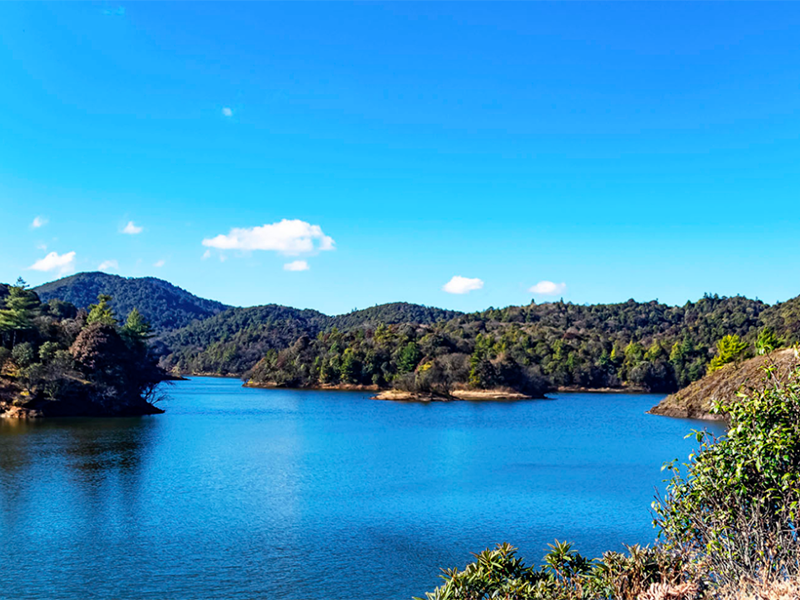 水質(zhì)余氯測試儀 水質(zhì)余氯測試儀