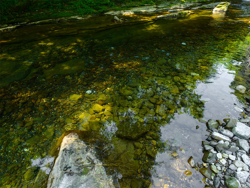 水質(zhì)總氮測定儀原理