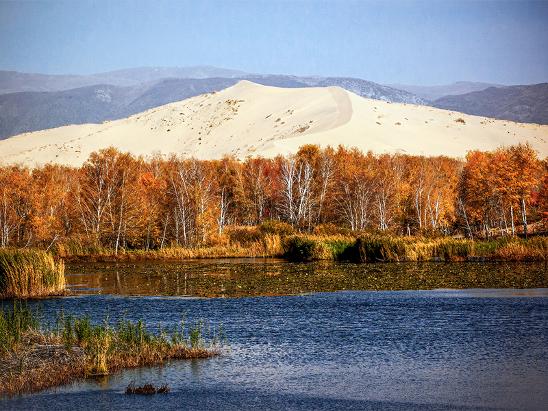 COD檢測方法及原理