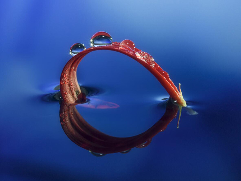 水質(zhì)總磷檢測儀操作步驟 水質(zhì)總磷檢測儀操作步驟