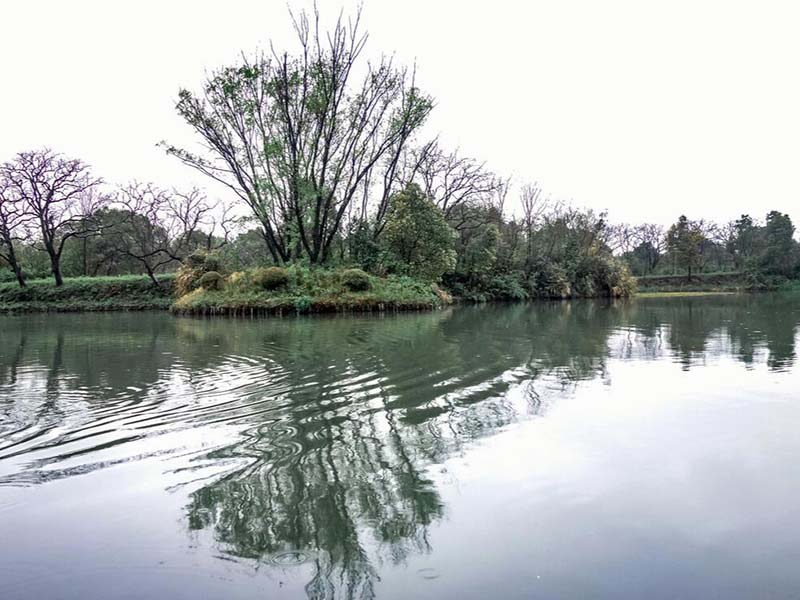 工業(yè)廢水氨氮超標(biāo)處理方法