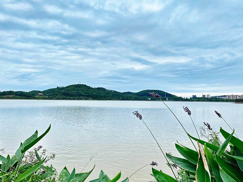 cod檢測儀器哪種好