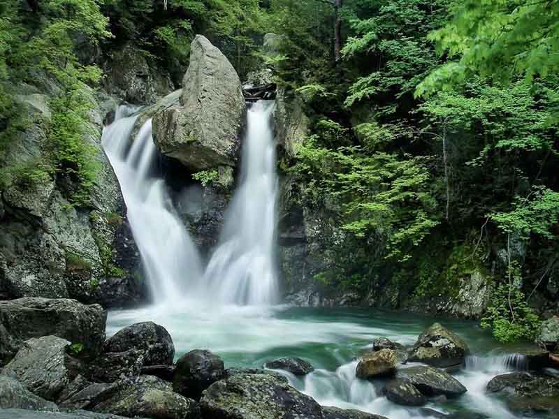 水質氨氮和總磷有什么區(qū)別 水質氨氮和總磷有什么區(qū)別