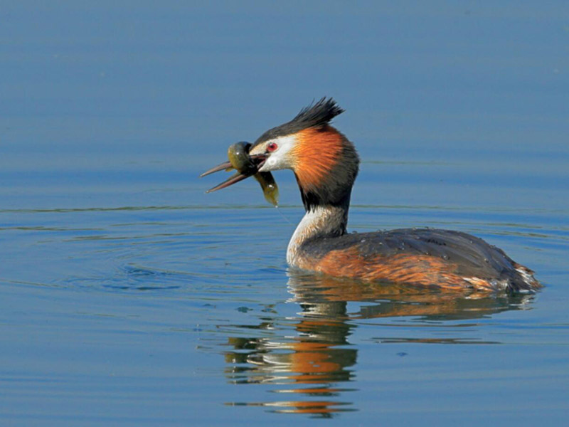 國家水質(zhì)分類標(biāo)準(zhǔn)介紹