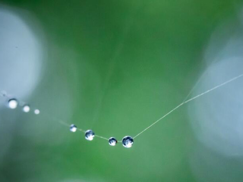 總氮在線監(jiān)測儀在使用中存在的問題