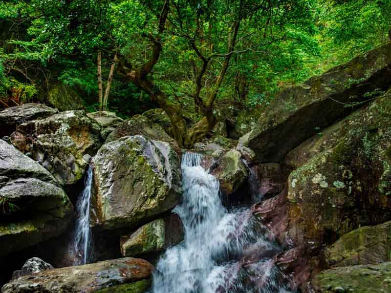 水質(zhì)石油類檢測用什么采樣器