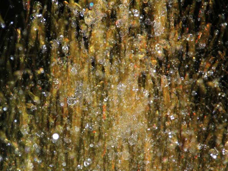 水質(zhì)COD檢測(cè)標(biāo)準(zhǔn)匯總 水質(zhì)COD檢測(cè)標(biāo)準(zhǔn)匯總