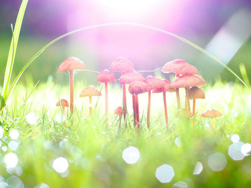 生活飲用水衛(wèi)生標(biāo)準(zhǔn)有哪些改變