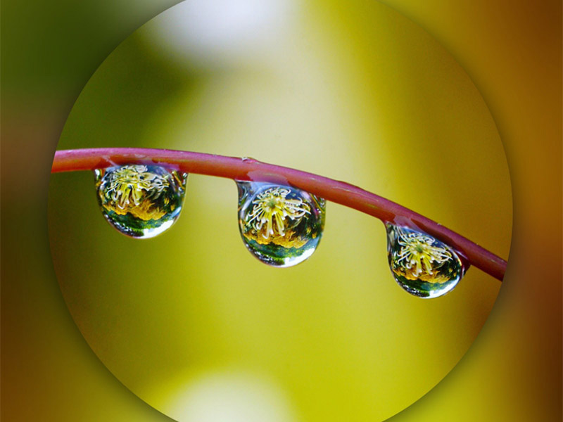 水質(zhì)pH的檢測(cè)方法介紹