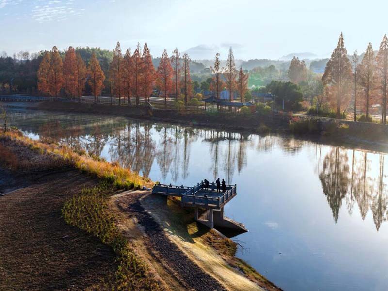 COD在線分析儀哪家好 COD在線分析儀哪家好