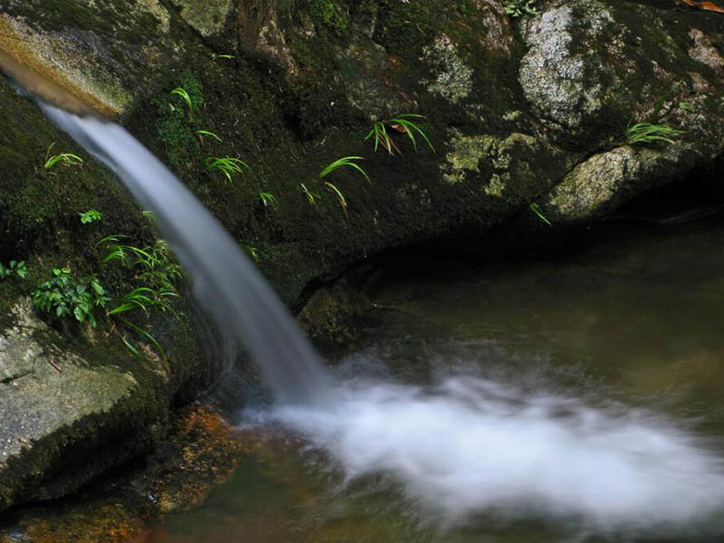 溶解氧檢測儀哪家好