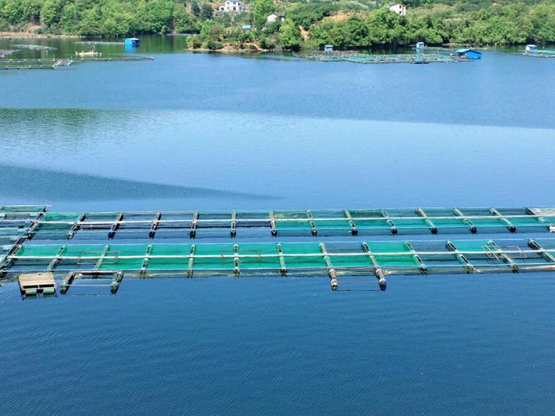 水產(chǎn)養(yǎng)殖水質(zhì)檢測儀價格