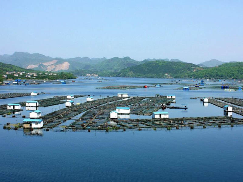 污水總磷排放標(biāo)準(zhǔn)是多少 污水總磷排放標(biāo)準(zhǔn)是多少