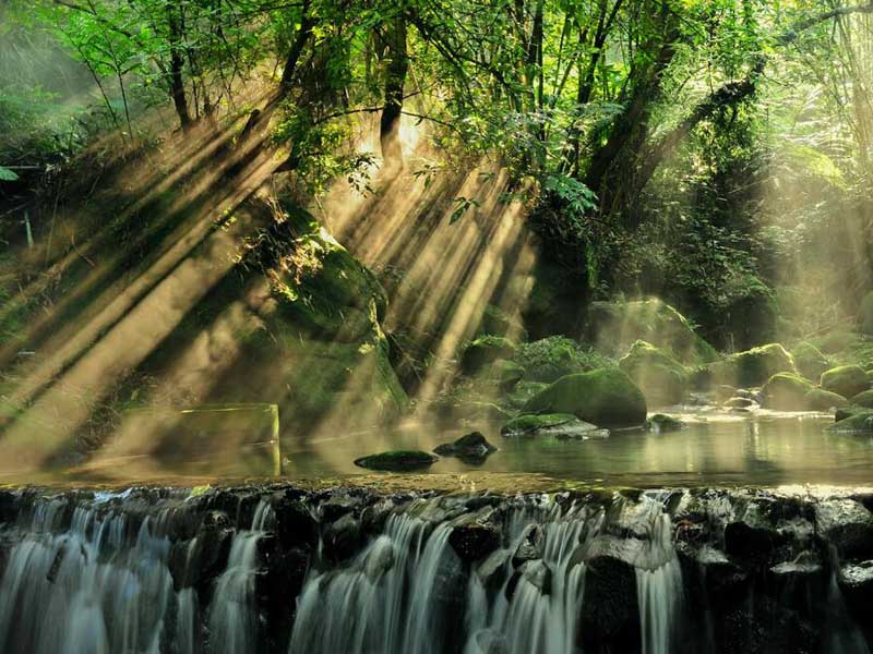 BOD測定儀是干什么用的 BOD測定儀是干什么用的