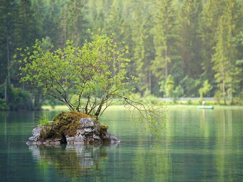 總有機(jī)碳測(cè)定的方法原理
