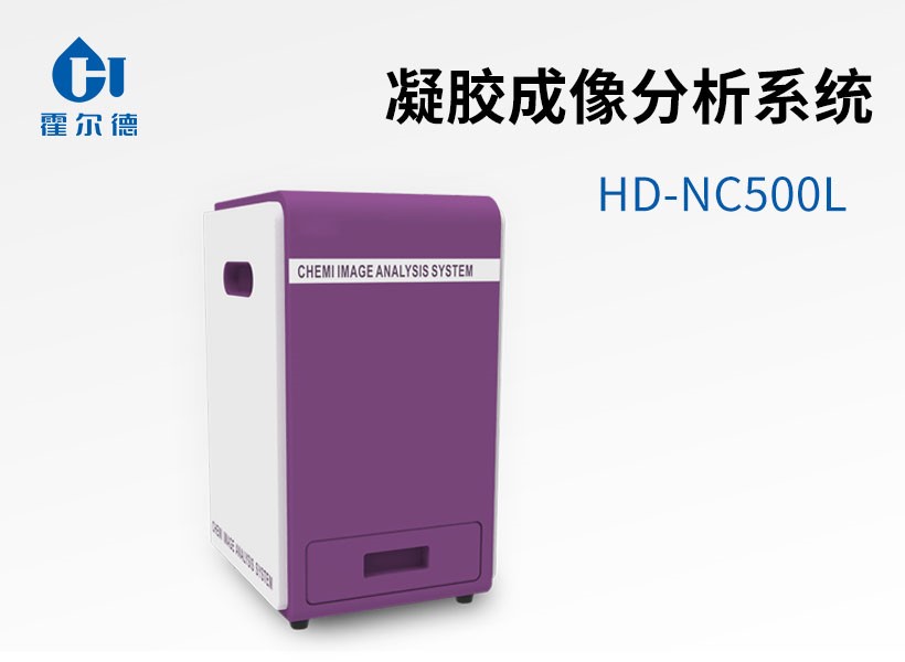 凝膠成像分析系統(tǒng)