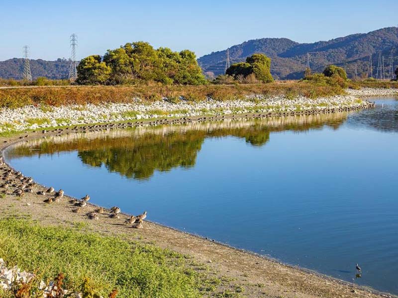 河南省1月份地表水環(huán)境質(zhì)量排名