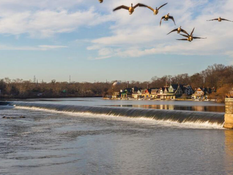 污水糞大腸菌群檢測方法