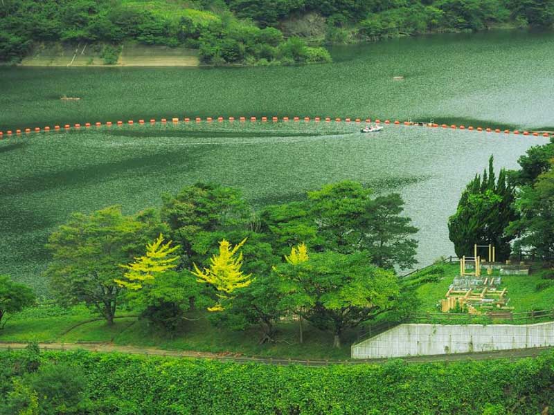 COD在線監(jiān)測儀安裝方法