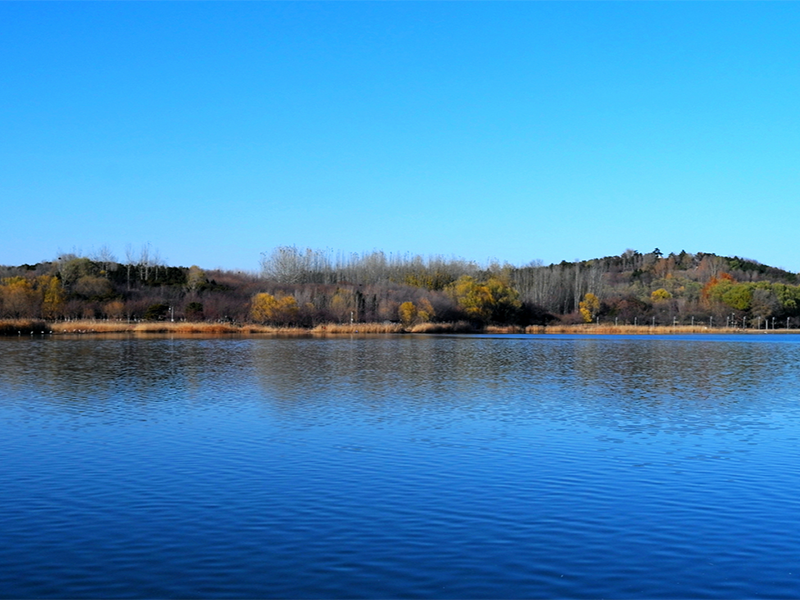 玻璃電極法檢測(cè)水質(zhì)pH的原理