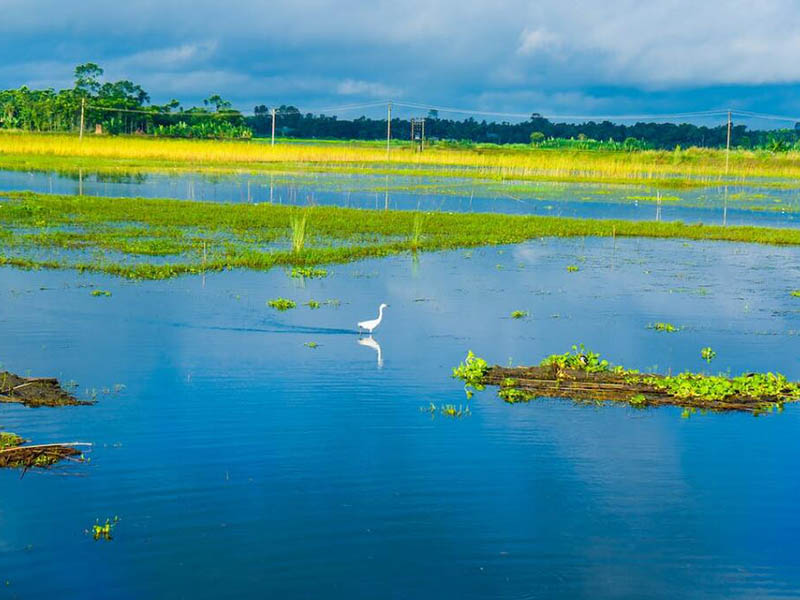 CODcr和CODMn有啥區(qū)別