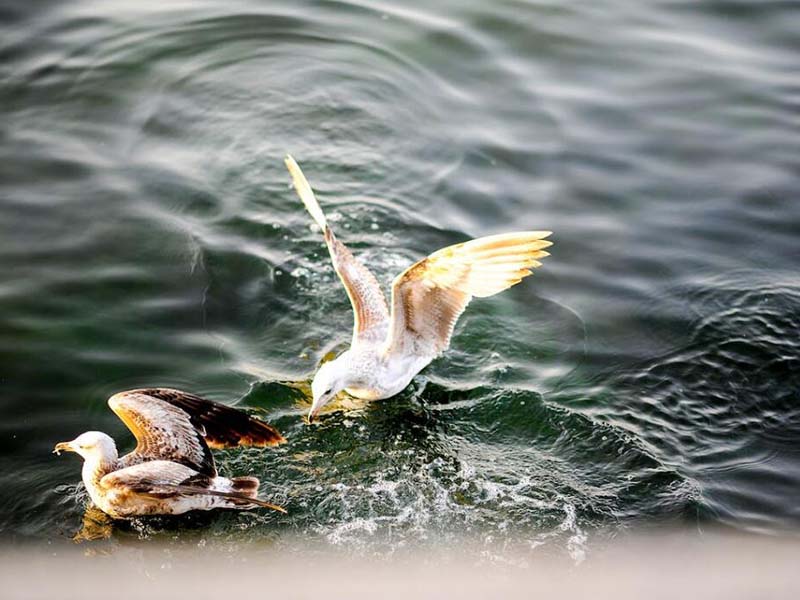 如何選擇一款合適的電導率儀