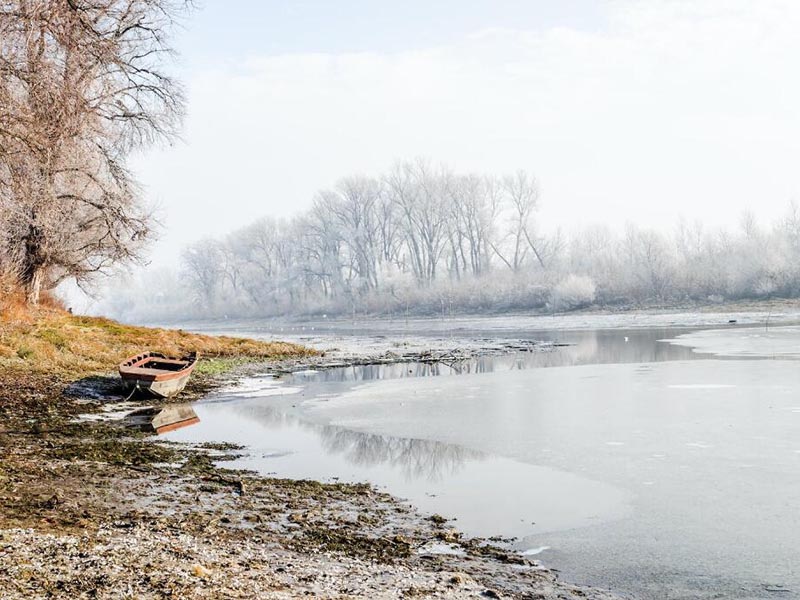 CODmn是什么意思