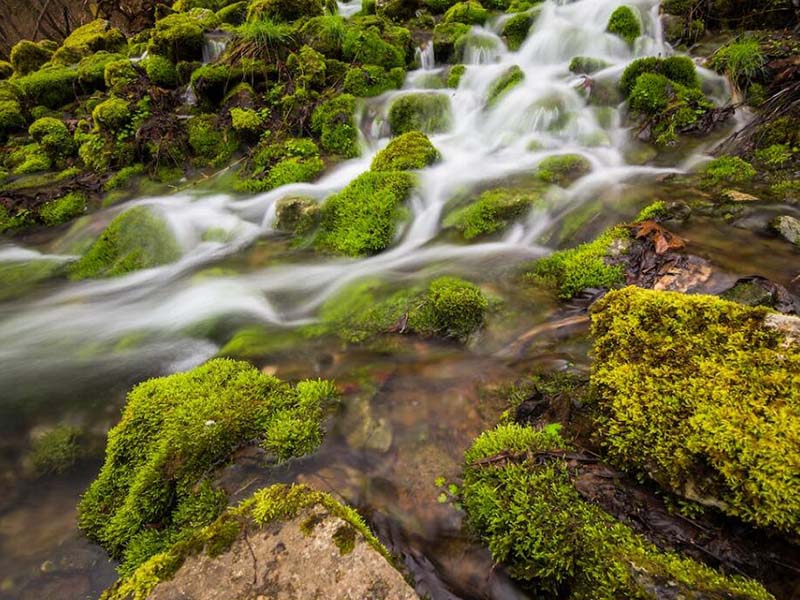 COD在線自動(dòng)監(jiān)測儀操作步驟 COD在線自動(dòng)監(jiān)測儀操作步驟