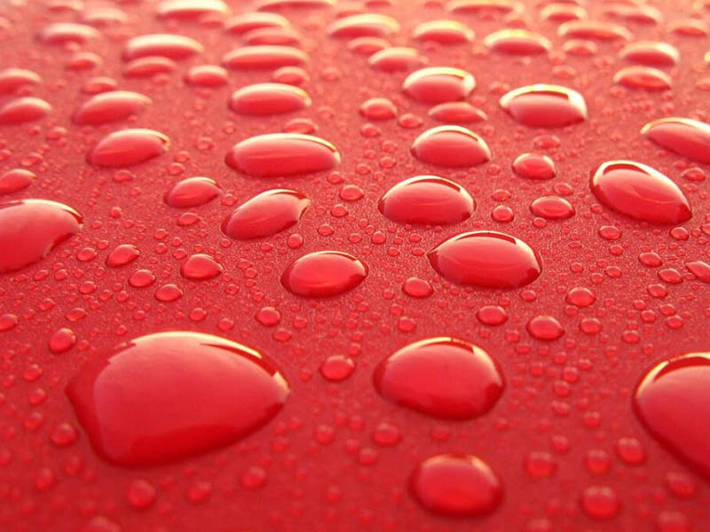 為什么大腸桿菌是水體安全評價的指標(biāo)