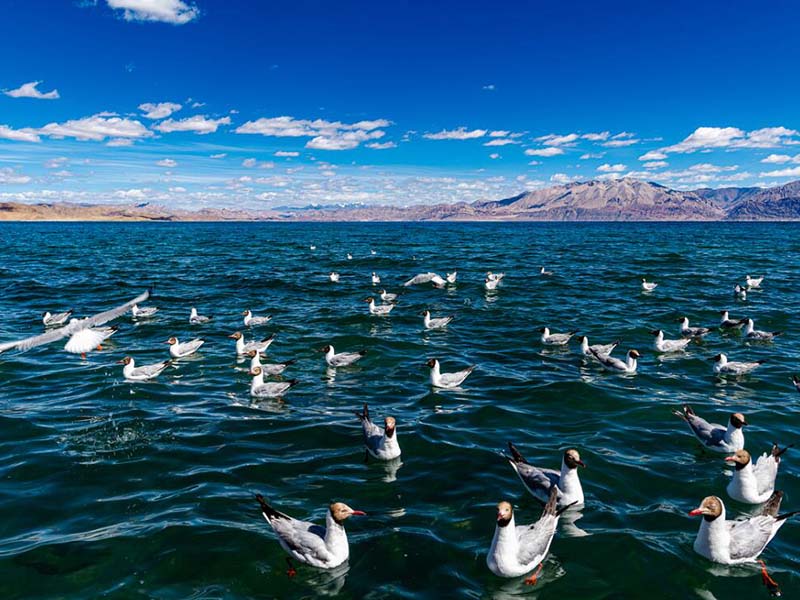 氨氮在線監(jiān)測儀產(chǎn)生的廢液該如何處理