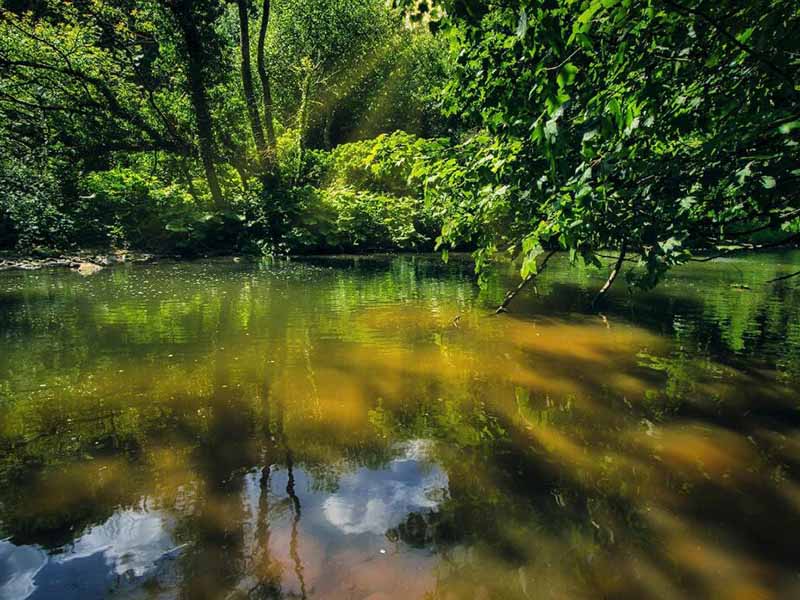 污水COD檢測標(biāo)準(zhǔn)匯總