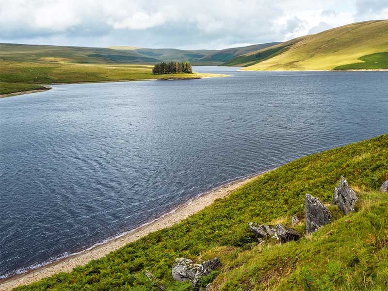 氨氮分析儀數(shù)據(jù)相同怎么辦