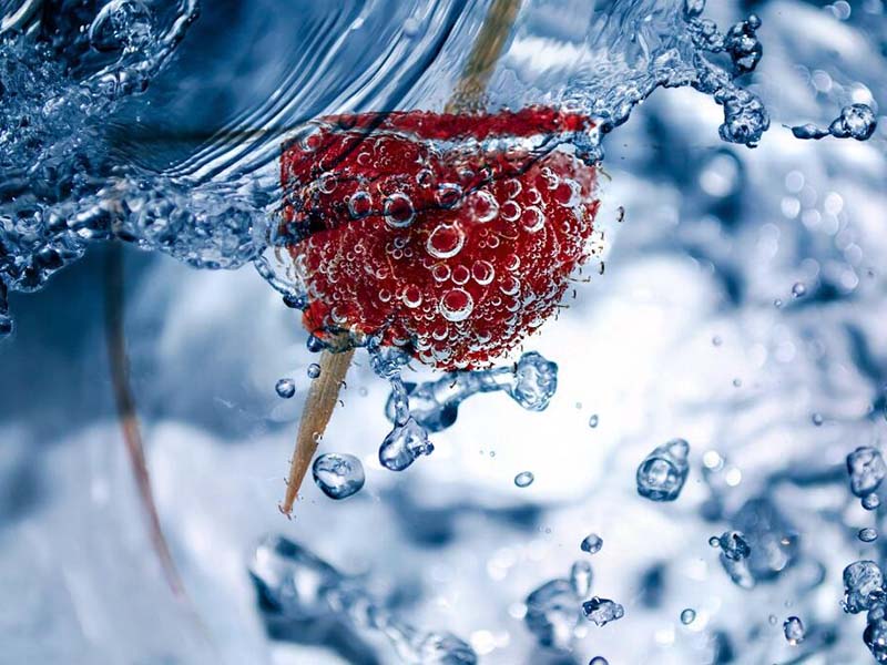 水質(zhì)生物毒性監(jiān)測(cè)的意義