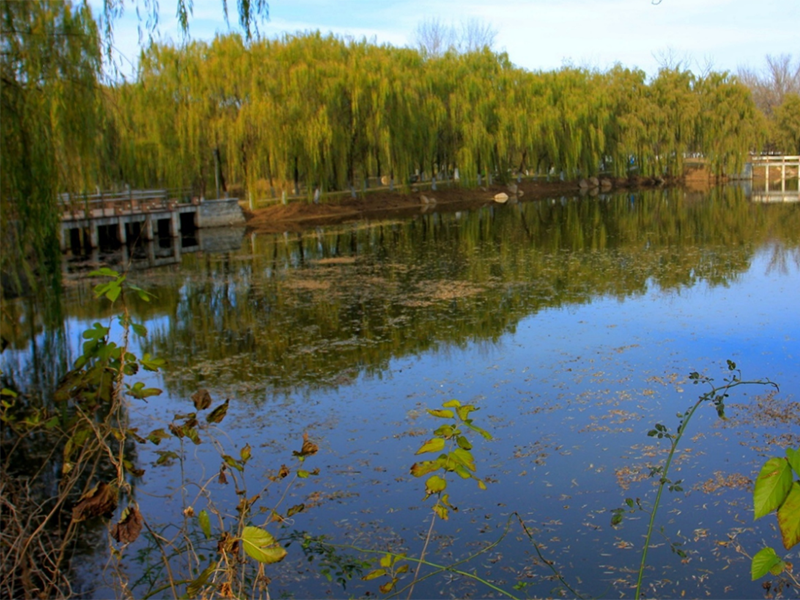 智能雙溫區(qū)消解儀怎么用