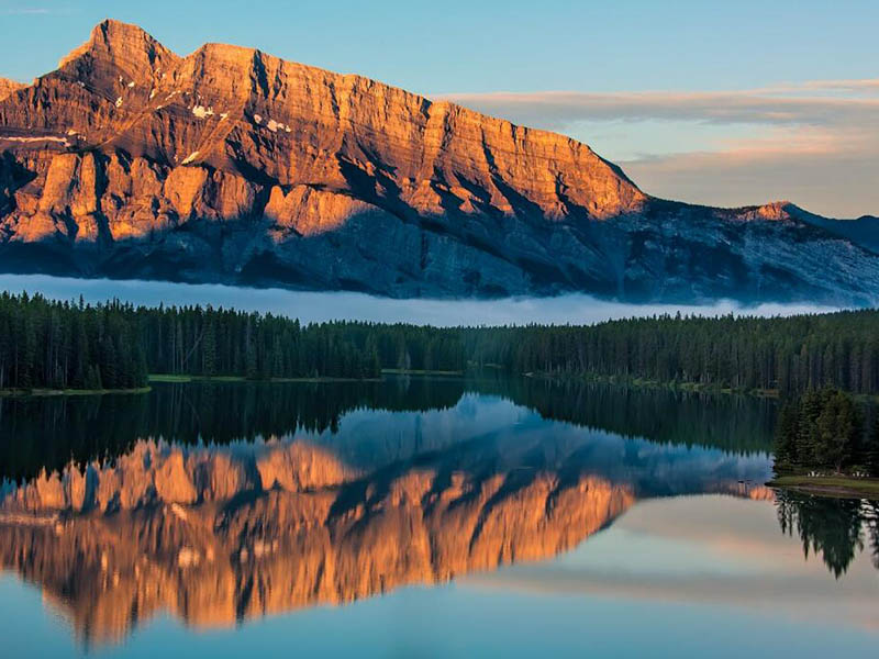 水產養(yǎng)殖中亞硝酸鹽超標如何處理