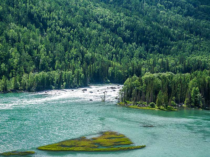 紫外測(cè)油儀是如何工作的